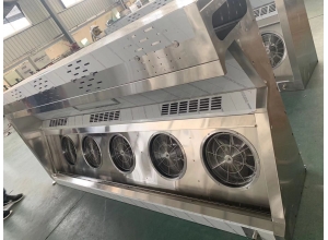 湘潭油煙罩-鮮風油煙淨化一體(tǐ)機